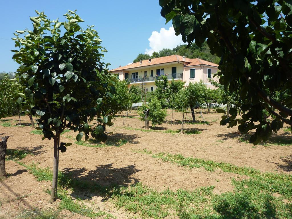 Agriturismo Le Collinette Вилланова-д'Альбенга Номер фото